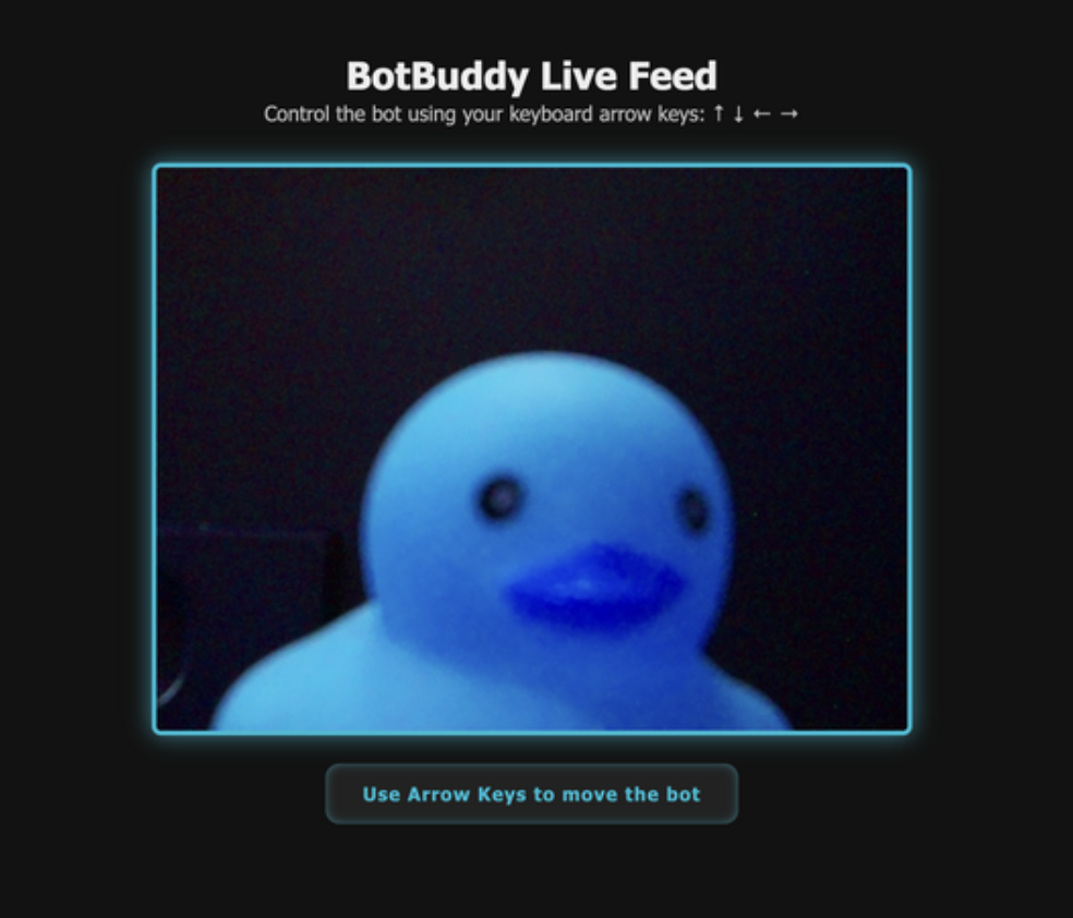 BotBuddy web control interface showing live video feed and arrow key controls